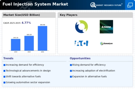 Fuel Injection System Market Infographic