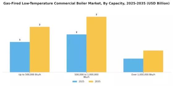 Gas Fired Low Temperature Commercial Boiler Market Segment Image 1