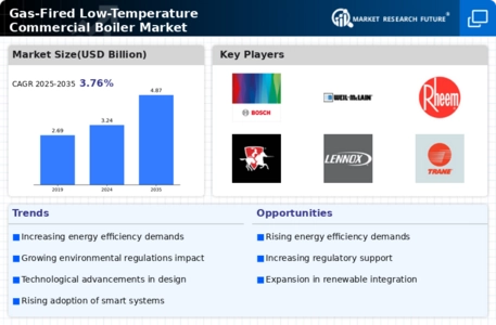 Gas Fired Low Temperature Commercial Boiler Market Infographic