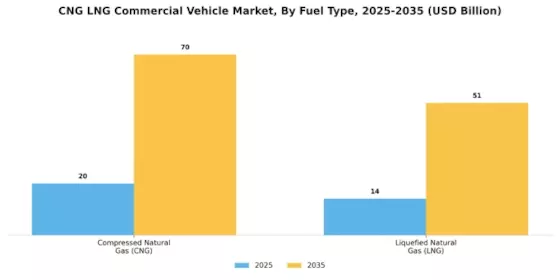 Cng Lng Commercial Vehicle Market Segment Image 0