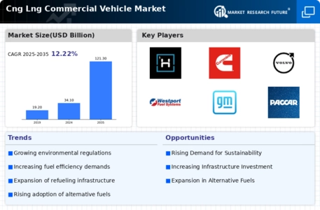 Cng Lng Commercial Vehicle Market Infographic