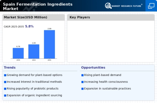 Spain Fermentation Ingredients Market Infographic