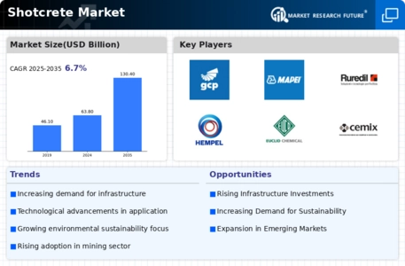 Shotcrete Market Infographic