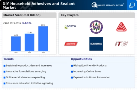 Diy Household Adhesives Sealant Market Infographic