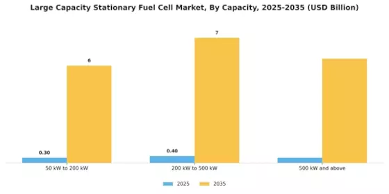 Large Capacity Stationary Fuel Cell Market Segment Image 0