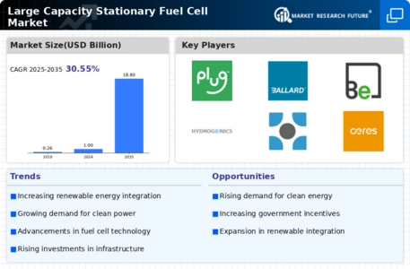 Large Capacity Stationary Fuel Cell Market Infographic