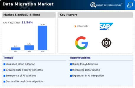Data Migration Market
 Infographic