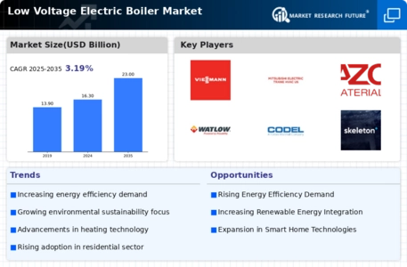 Low Voltage Electric Boiler Market Infographic
