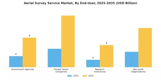 Aerial Survey Service Market Segment Image 3
