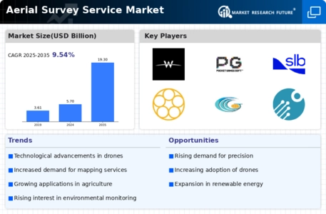 Aerial Survey Service Market Infographic