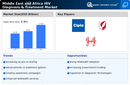 HIV Diagnosis Treatment Market Infographic