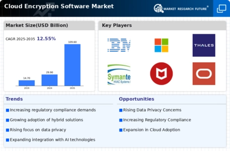Cloud Encryption Software Market Infographic