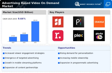 Advertising Based Video On Demand Market Infographic