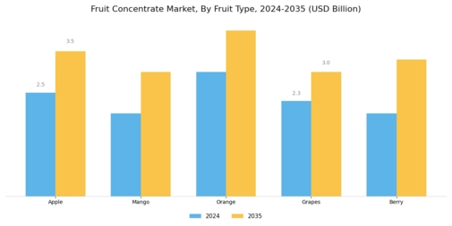 Fruit Concentrate Market Segment Image 1