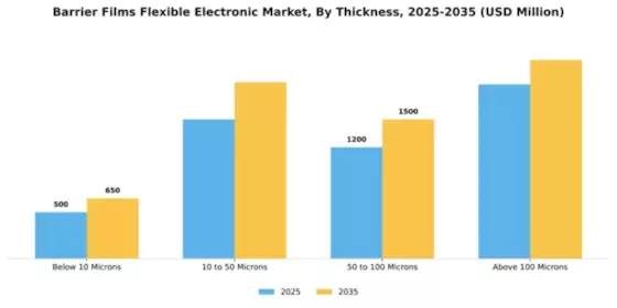 Barrier Films Flexible Electronic Market Segment Image 4