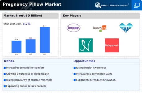 Pregnancy Pillow Market Infographic