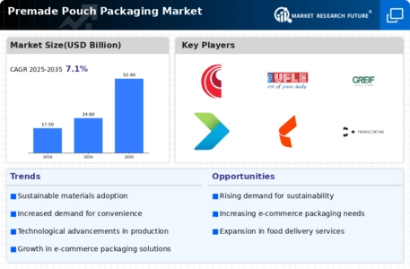 Premade Pouch Packaging Market Infographic