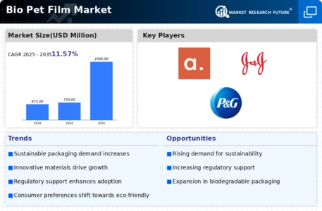 Bio Pet Film Market Infographic