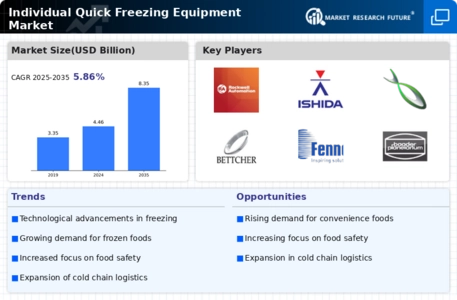 Individual Quick Freezing Equipment Market Infographic