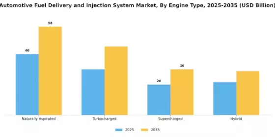 Automotive Fuel Delivery Injection System Market Segment Image 3