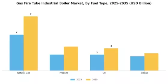 Gas Fire Tube Industrial Boiler Market Segment Image 0