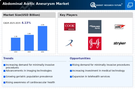 Abdominal Aortic Aneurysm Market  Infographic