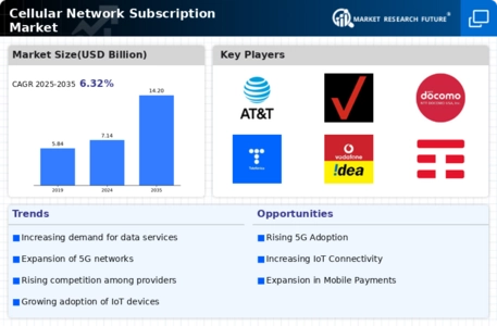 Cellular Network Subscription Market
 Infographic
