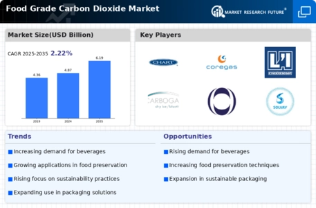 Food Grade Carbon Dioxide Market Infographic