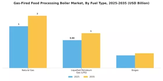 Gas-Fired Food Processing Boiler Market  Segment Image 0