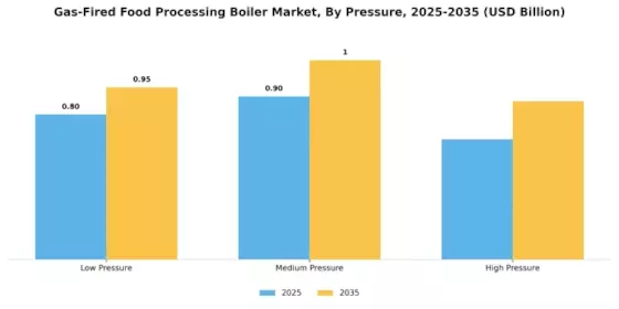 Gas-Fired Food Processing Boiler Market  Segment Image 4