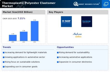 Thermoplastic Polyester Elastomer Market Infographic