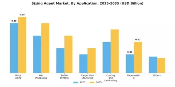 Sizing Agent Market Segment Image 0