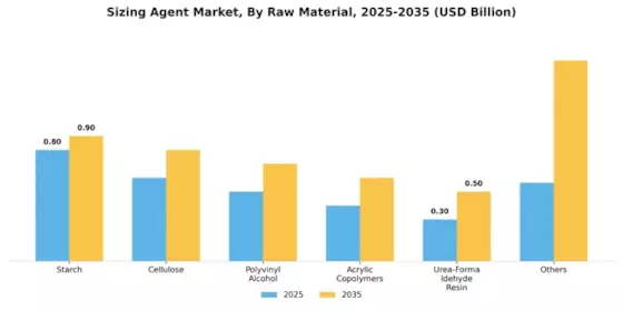 Sizing Agent Market Segment Image 1