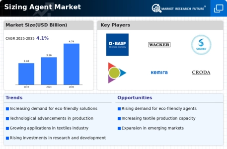 Sizing Agent Market Infographic