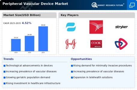 Peripheral Vascular Device Market Infographic
