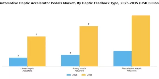 Automotive Haptic Accelerator Pedals Market Segment Image 3