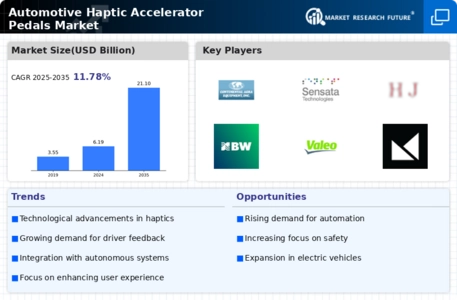 Automotive Haptic Accelerator Pedals Market Infographic