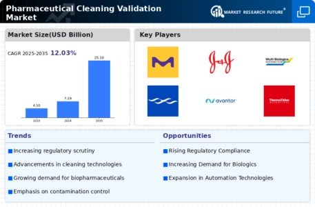 Pharmaceutical Cleaning Validation Market Infographic