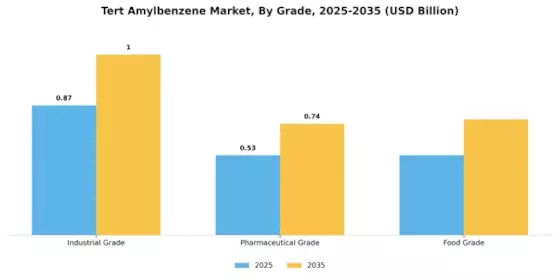Tert Amylbenzene Market Segment Image 0