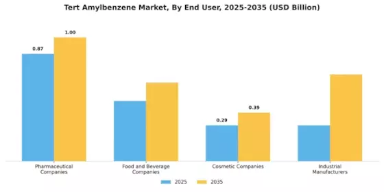 Tert Amylbenzene Market Segment Image 2