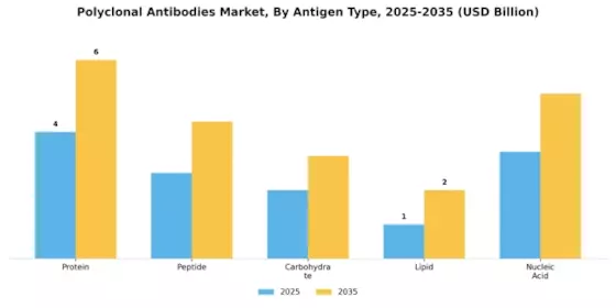 Polyclonal Antibodies Market Segment Image 1