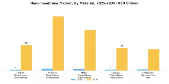 Marché des nanomembranes Segment Image 0