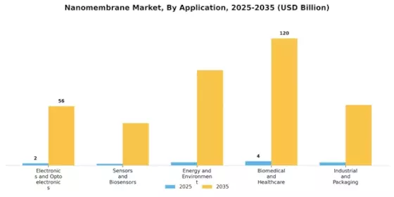 Marché des nanomembranes Segment Image 1