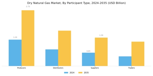 Dry Natural Gas Market Segment Image 3