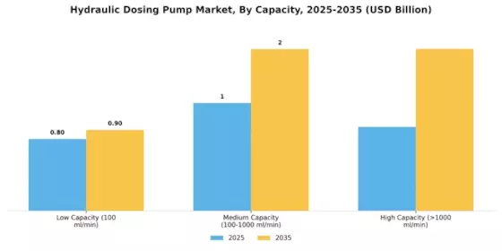 Hydraulic Dosing Pump Market Segment Image 1
