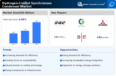 Hydrogen Cooled Synchronous Condenser Market Infographic