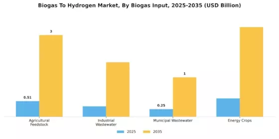 Biogas To Hydrogen Market Segment Image 0