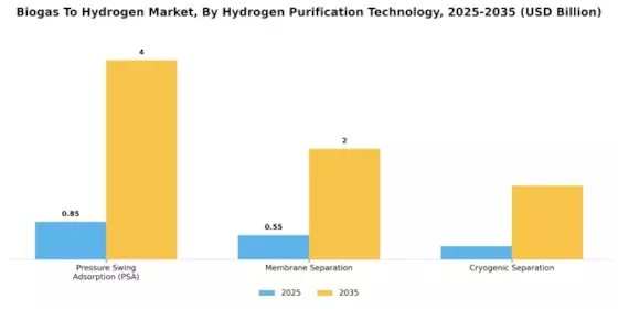Biogas To Hydrogen Market Segment Image 1