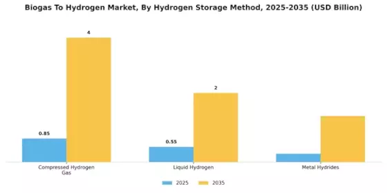 Biogas To Hydrogen Market Segment Image 2
