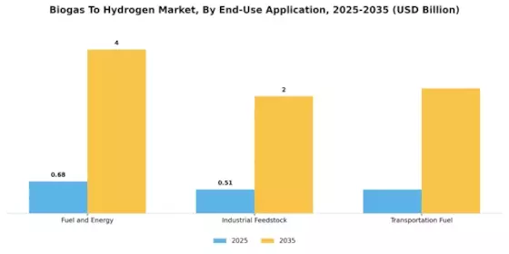 Biogas To Hydrogen Market Segment Image 3